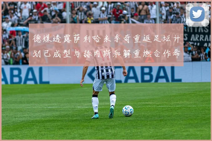 德媒透露萨利哈米季奇重返足坛计划已成型与赫内斯和解重燃合作希望
