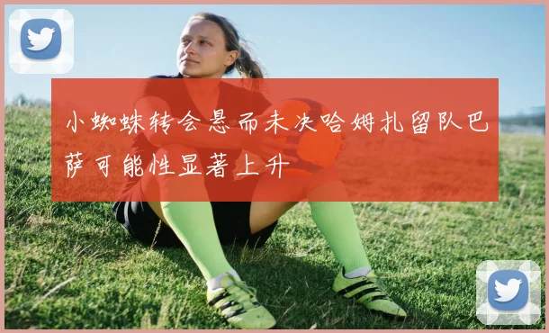 小蜘蛛转会悬而未决哈姆扎留队巴萨可能性显著上升